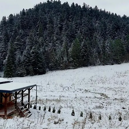 Tiny House Freedom Sl