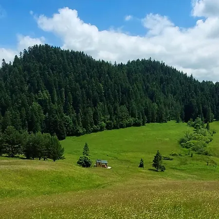 Luxussátor Tiny House Freedom Sl